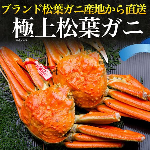 特別送料無料 産地直送 かに カニ 蟹 ズワイガニ 松葉ガニ ギフト 御歳暮 年末 お歳暮 冷凍 境港 ボイル 茹で 800 900g前後 2杯 訳あり 松葉ガニ お取り寄せ カニ Meorboston Org