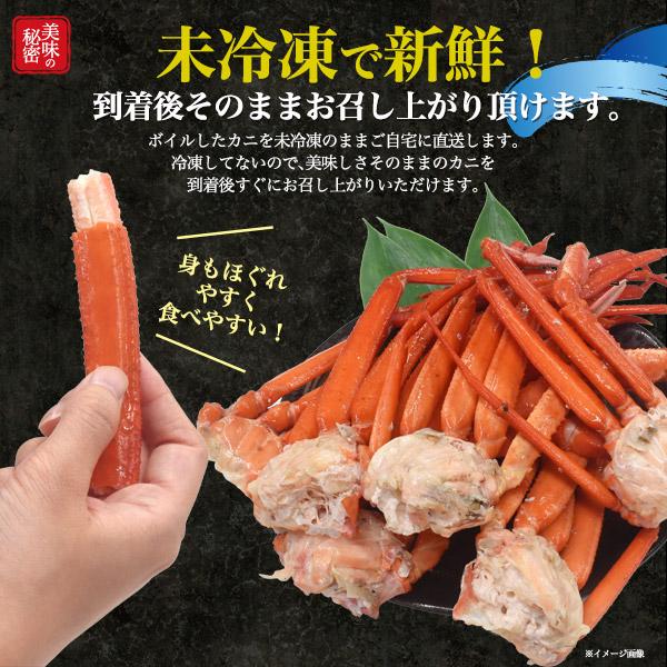 訳あり 蟹 茹で ボイル A級品 紅ズワイガニ 肩脚 合計2.5kg 詰め合わせ 肩足 紅ずわい蟹 ズワイカニ 国産 姿 鮮魚 日本海産 未冷凍 境港直送 冷蔵クール便配送の画像