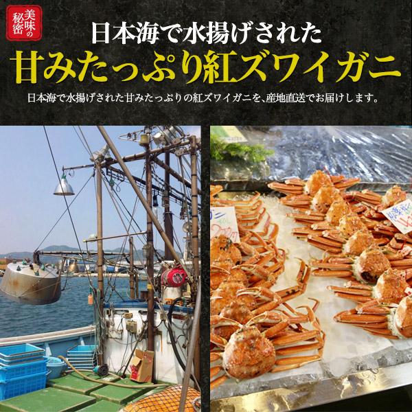 訳あり 蟹 茹で ボイル A級品 紅ズワイガニ 肩脚 合計2.5kg 詰め合わせ 肩足 紅ずわい蟹 ズワイカニ 国産 姿 鮮魚 日本海産 未冷凍 境港直送 冷蔵クール便配送の画像