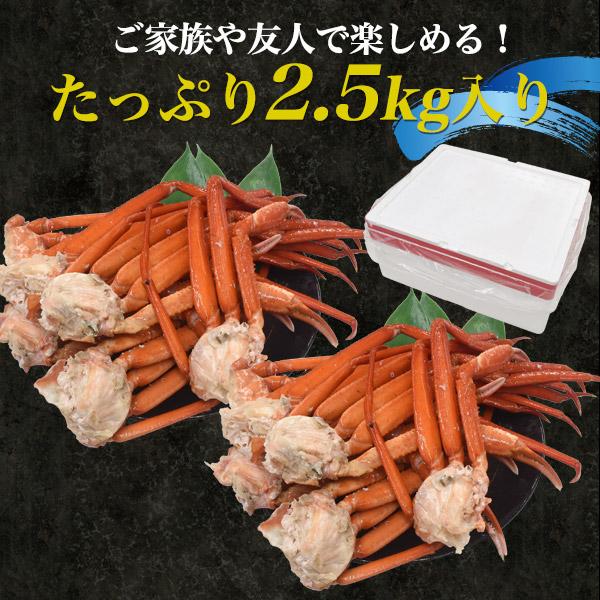 訳あり 蟹 茹で ボイル A級品 紅ズワイガニ 肩脚 合計2.5kg 詰め合わせ 肩足 紅ずわい蟹 ズワイカニ 国産 姿 鮮魚 日本海産 未冷凍 境港直送 冷蔵クール便配送の画像