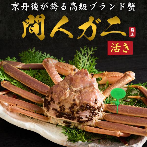 訳あり 蟹 間人ガニ 京丹後 活き 生蟹 1杯 約700〜800g ブランドタグ