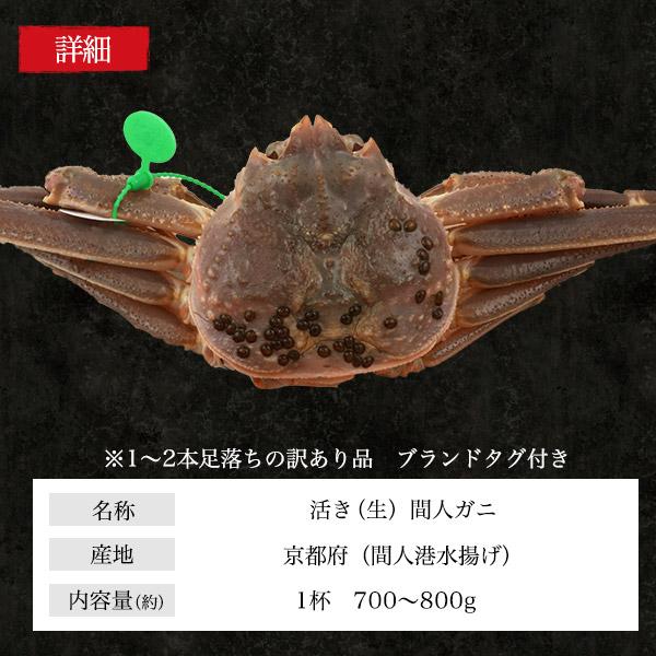 訳あり 蟹 間人ガニ 京丹後 活き 生蟹 1杯 約700〜800g ブランドタグ