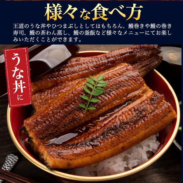 選べる 国産鰻 2尾セット 朝じめ 蒲焼き 白焼き うなぎ 200〜250g 三河一色産 組み合わせ自由 タレ付き 鰻 かば焼き 土用の丑の日 贈答品 熨斗対応可能 冷蔵便 | ブランド登録なし | 12