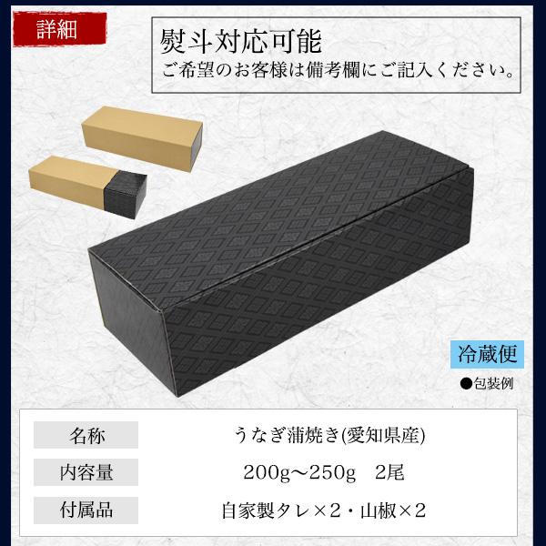 選べる 国産鰻 2尾セット 朝じめ 蒲焼き 白焼き うなぎ 200〜250g 三河一色産 組み合わせ自由 タレ付き 鰻 かば焼き 土用の丑の日 贈答品 熨斗対応可能 冷蔵便 | ブランド登録なし | 16