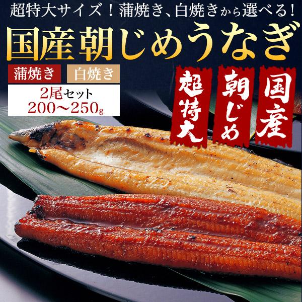 選べる 国産鰻 2尾セット 朝じめ 蒲焼き 白焼き うなぎ 200〜250g 三河一色産 組み合わせ自由 タレ付き 鰻 かば焼き 土用の丑の日 贈答品 熨斗対応可能 冷蔵便 | ブランド登録なし | 04