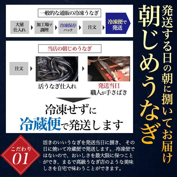 選べる 国産鰻 2尾セット 朝じめ 蒲焼き 白焼き うなぎ 200〜250g 三河一色産 組み合わせ自由 タレ付き 鰻 かば焼き 土用の丑の日 贈答品 熨斗対応可能 冷蔵便 | ブランド登録なし | 05