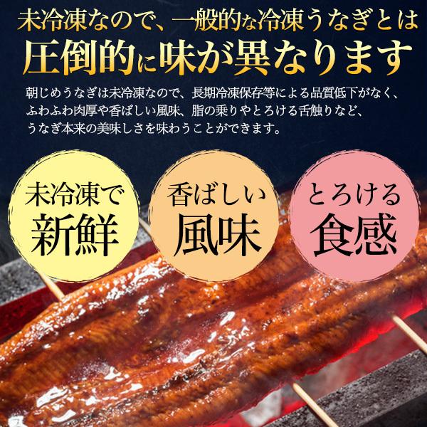 選べる 国産鰻 2尾セット 朝じめ 蒲焼き 白焼き うなぎ 200〜250g  組み合わせ自由 タレ付き 鰻 かば焼き 土用の丑の日 ギフト 贈答品 熨斗対応可 冷蔵便発送｜tabemore｜07