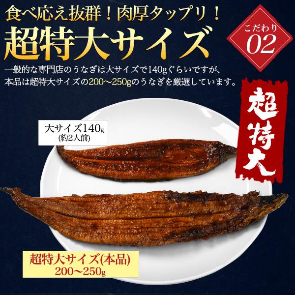 選べる 国産鰻 2尾セット 朝じめ 蒲焼き 白焼き うなぎ 200〜250g 三河一色産 組み合わせ自由 タレ付き 鰻 かば焼き 土用の丑の日 贈答品 熨斗対応可能 冷蔵便 | ブランド登録なし | 07