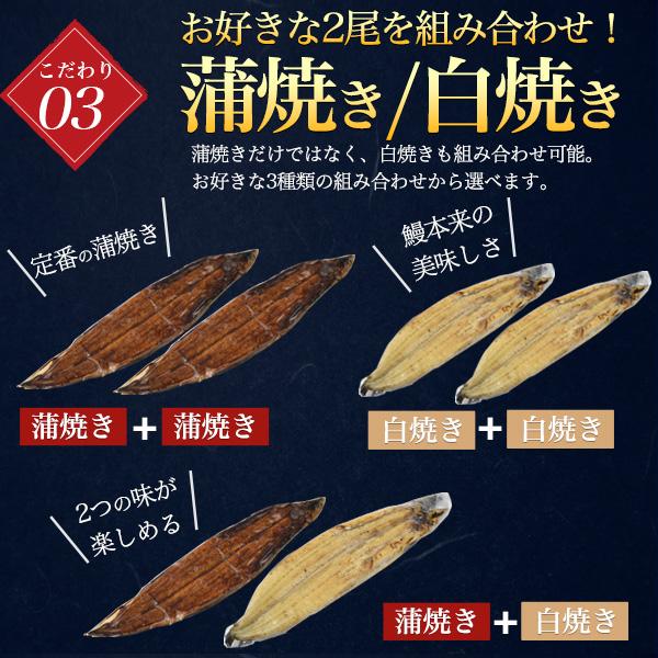 選べる 国産鰻 2尾セット 朝じめ 蒲焼き 白焼き うなぎ 200〜250g 三河一色産 組み合わせ自由 タレ付き 鰻 かば焼き 土用の丑の日 贈答品 熨斗対応可能 冷蔵便 | ブランド登録なし | 08