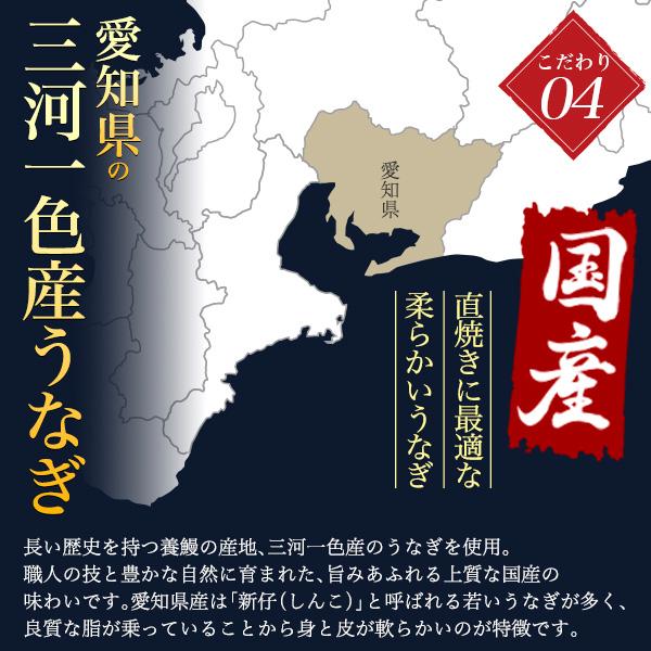 選べる 国産鰻 2尾セット 朝じめ 蒲焼き 白焼き うなぎ 200〜250g 三河一色産 組み合わせ自由 タレ付き 鰻 かば焼き 土用の丑の日 贈答品 熨斗対応可能 冷蔵便 | ブランド登録なし | 10
