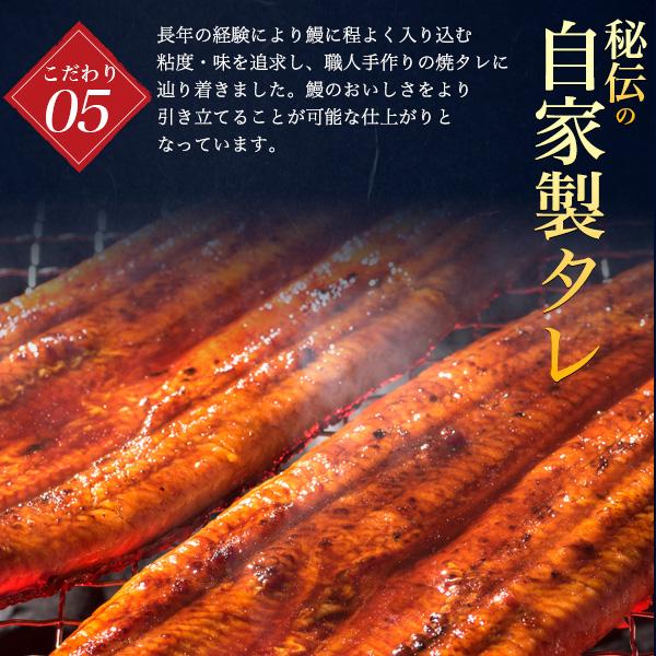 選べる 国産鰻 2尾セット 朝じめ 蒲焼き 白焼き うなぎ 200〜250g 三河一色産 組み合わせ自由 タレ付き 鰻 かば焼き 土用の丑の日 贈答品 熨斗対応可能 冷蔵便 | ブランド登録なし | 11