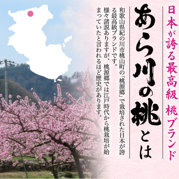 桃 和歌山県産 あら川の桃 白鳳 4Lサイズ 2玉入り 国産 最上等級 赤秀