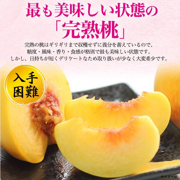 桃 和歌山県産 あら川の桃 黄金桃 約2kg 5〜6玉入り 最上等級 赤秀品