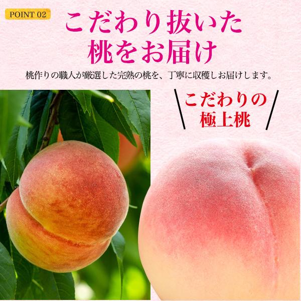 訳あり 品種おまかせ 桃 あら川の桃 12〜14玉セット 和歌山県産 最高級