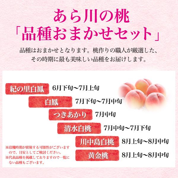 訳あり 品種おまかせ 桃 あら川の桃 12〜14玉セット 和歌山県産 最高級