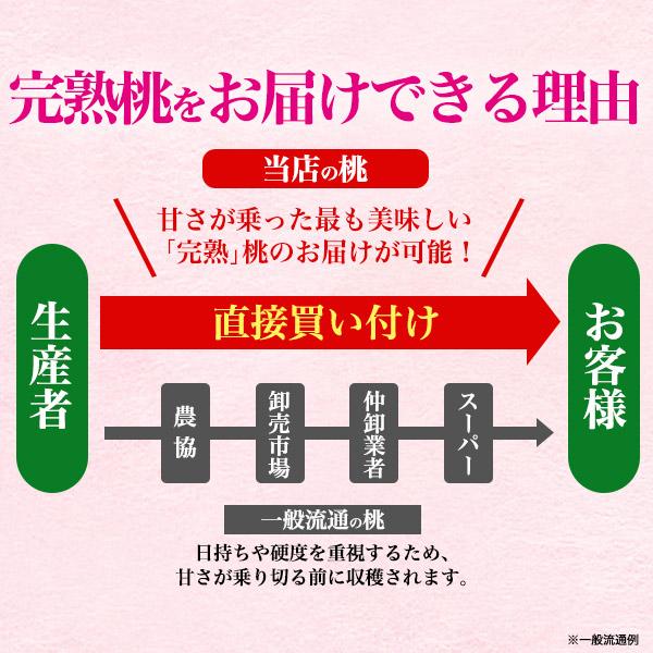 訳あり 品種おまかせ 桃 あら川の桃 12〜14玉セット 和歌山県産 最高級