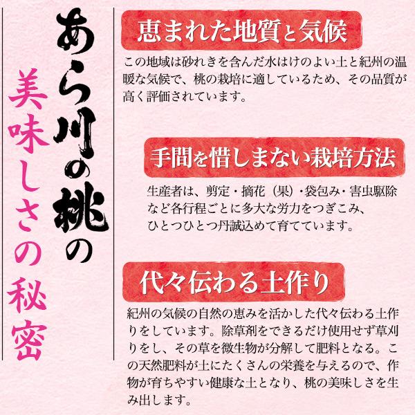 訳あり 品種おまかせ 桃 あら川の桃 12〜14玉セット 和歌山県産 最高級