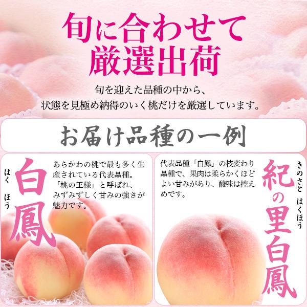 品種おまかせ 桃 あら川の桃 4Lサイズ 2玉入り 和歌山県産 最上等級 赤