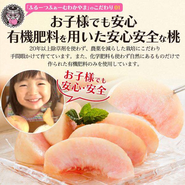 桃 なつっこ 和歌山県産 紀の川市の桃 約4kg 10〜15玉入り 最上等級 赤