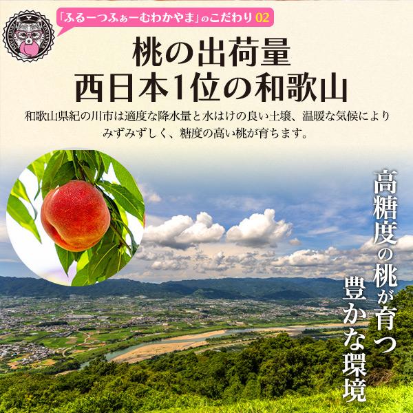 桃 なつっこ 和歌山県産 紀の川市の桃 約4kg 10〜15玉入り 最上等級 赤
