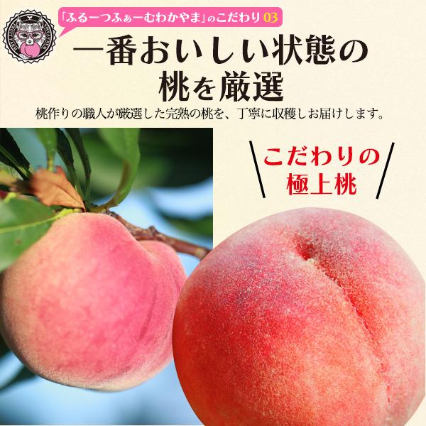 桃 なつっこ 和歌山県産 紀の川市の桃 約4kg 10〜15玉入り 最上等級 赤