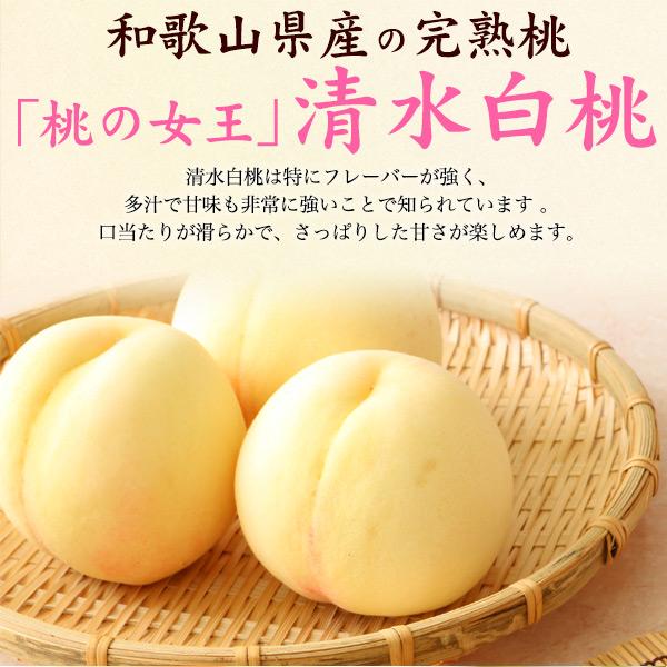 桃 和歌山紀の川市 清水白桃 約3kg 9〜12玉入り 国産 もも 最上等級 赤