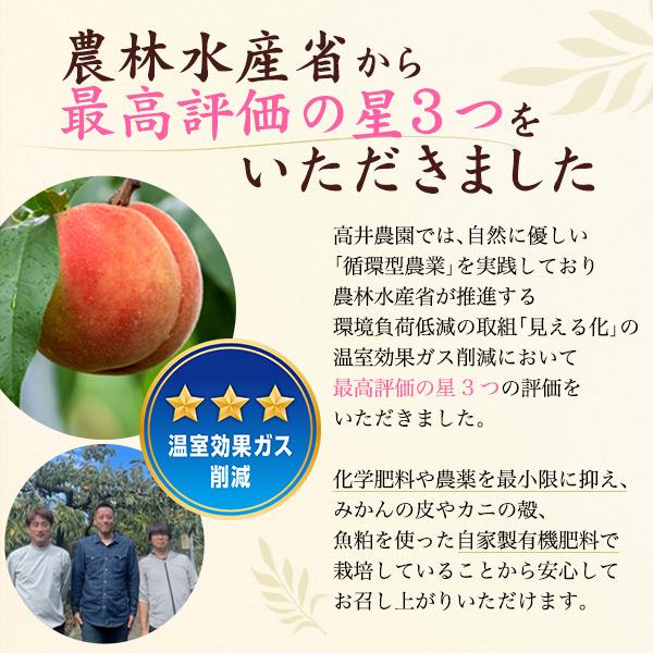 桃 和歌山紀の川市 清水白桃 約3kg 9〜12玉入り 国産 もも 最上等級 赤