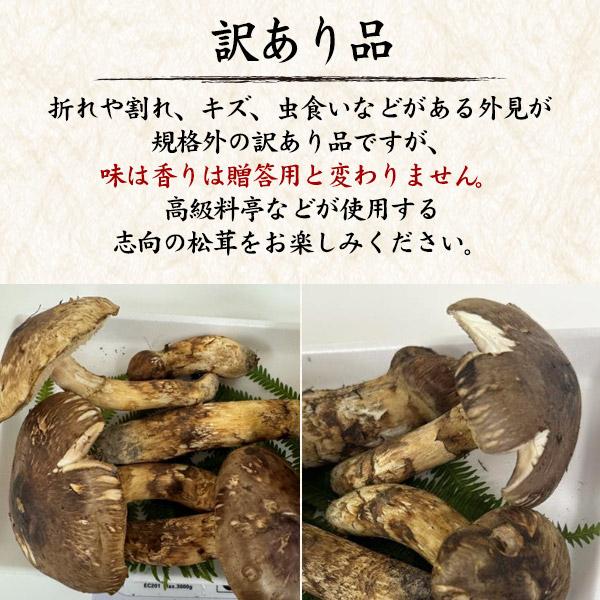 北海道　松茸　450g 訳あり 訳あり 国産 松茸 天然 高野松茸 約180g 和歌山県橋本市産 国産松茸
