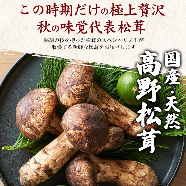 松茸　北海道　600g 訳あり　④　国産 松茸 北海道 600g 訳あり ④ 国産 松茸 北海道 600g 訳あり ④ 国産