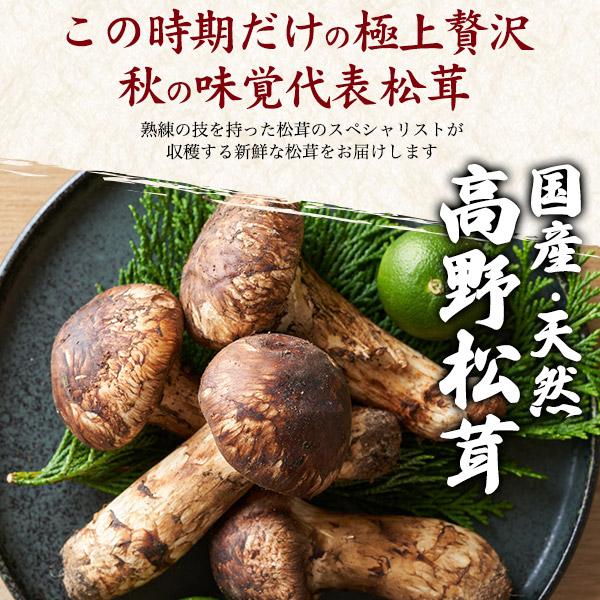 国産松茸 天然 高野松茸 約200g 和歌山県産 国産松茸 まつたけ 季節の 