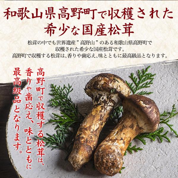 国産松茸 天然 高野松茸 約200g 和歌山県産 国産松茸 まつたけ 季節の 