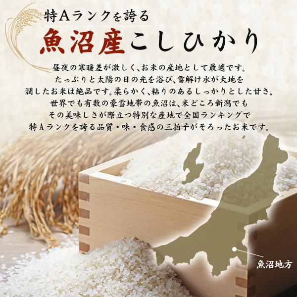 吉兆楽（キッチョウラク） 令和7年産 魚沼産 コシヒカリ 4kg 2kg×2袋