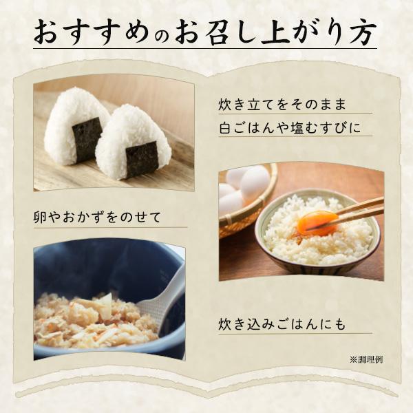 令和7年産 魚沼産 コシヒカリ 4kg 2kg 2袋 吉兆楽 こしひかり 氷温熟成 雪温精米 国産 精米 お米 白米 日本米 ご飯 備蓄 ご家庭用 常温便配送