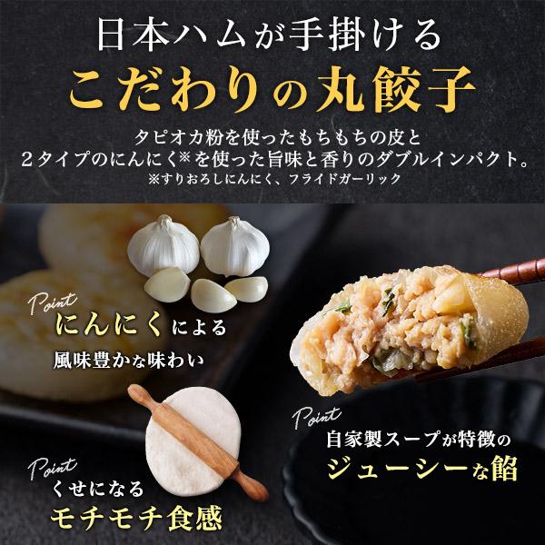 ハムニダ 日本ハム（Nipponham） もちもち皮のにんにく丸餃子 80個セット(20個