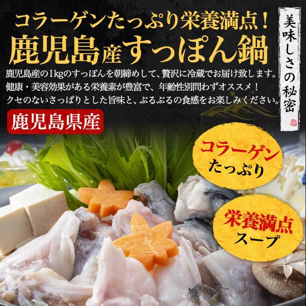 鹿児島県産 朝締め すっぽん鍋セット 700g  (3〜4人前)  国産 スッポン鍋 お鍋 ギフト 熨斗対応 贈答用 お歳暮 お祝い 未冷凍 冷蔵配送