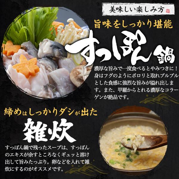 鹿児島県産 朝締め すっぽん鍋セット 約700g 3〜4人前  国産 スッポン 鍋食材 お鍋 出汁 スープ ギフト 贈答用 熨斗対応可能 未冷凍 冷蔵配送の画像