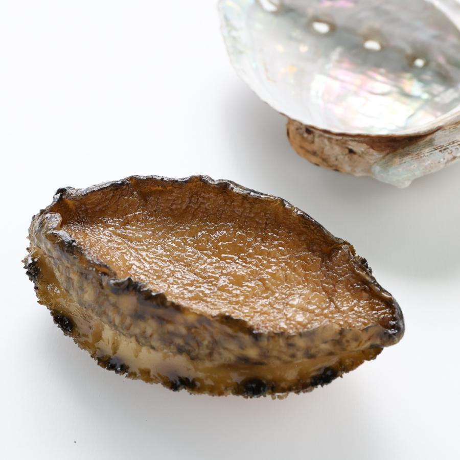食べられない 鮑 あわび アワビ 貝 貝殻 食品サンプル レプリカ 見本