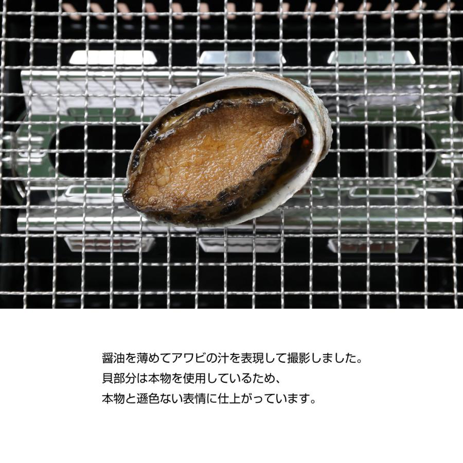 食べられない 鮑 あわび アワビ 貝 貝殻 食品サンプル レプリカ 見本