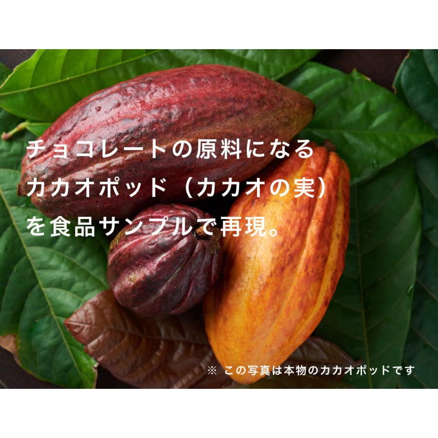リアルなカカオの実のディスプレイ 楽天市場】食べられない カカオ ポッド（カカオの実）ダーク