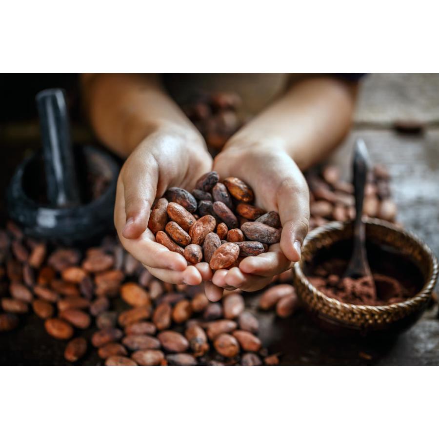 食べられない カカオ ポッド カカオの実 カット ダークブラウン 食品