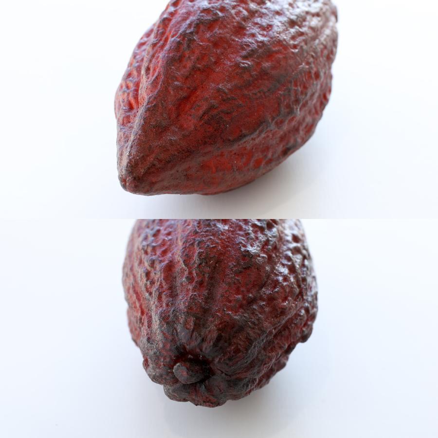 食べられない カカオ ポッド カカオの実 ダークブラウン 食品サンプル