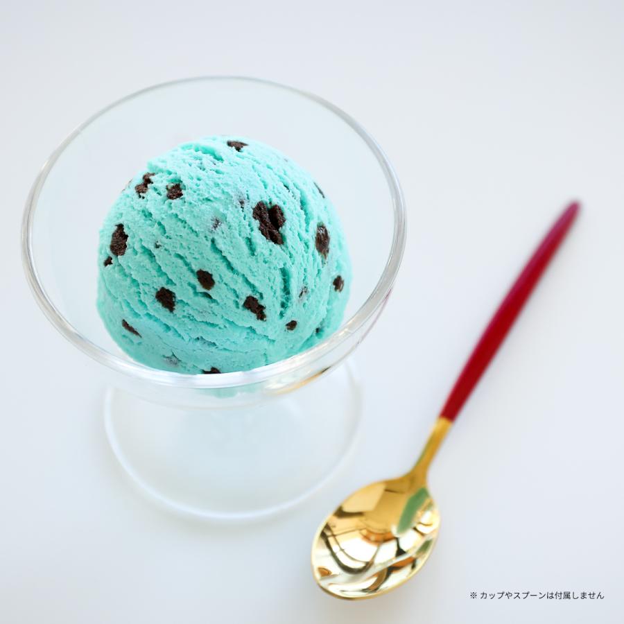 食品サンプル 食べられない アイス チョコ チョコチップ アイス