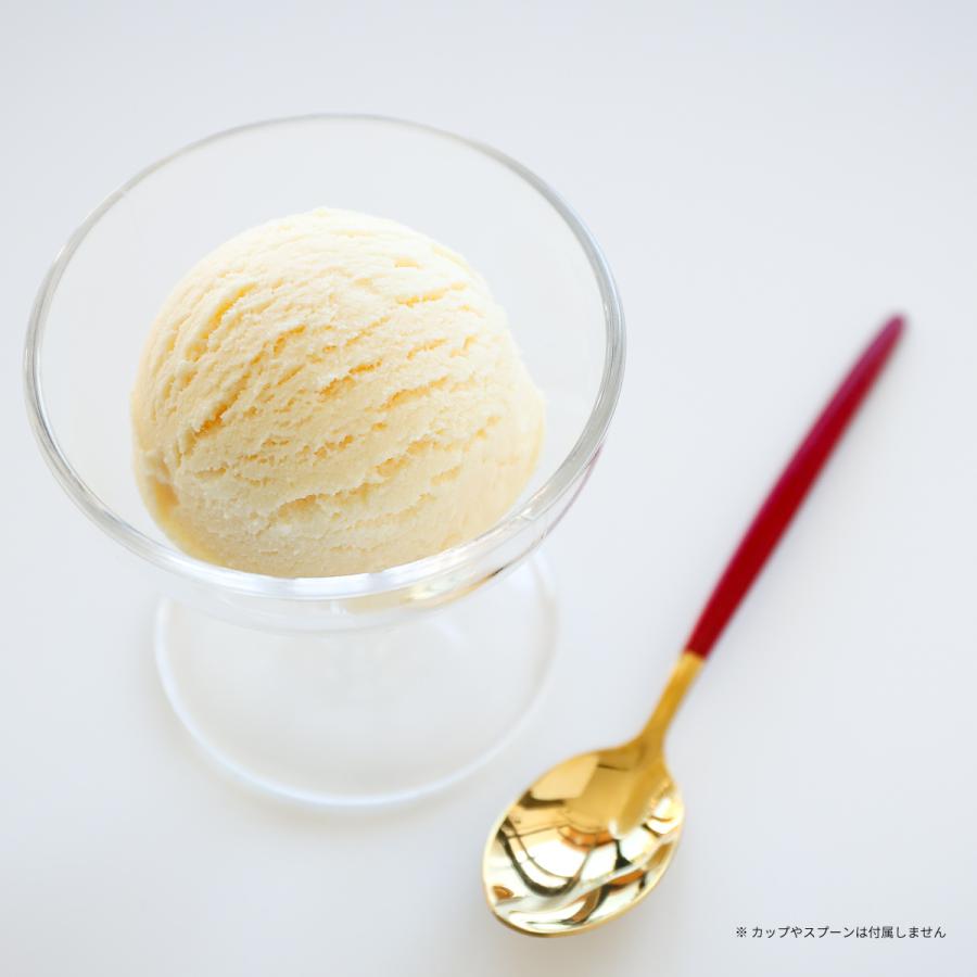 食品サンプル　アイスクリームケース入り 食品サンプル 食べられない アイス バニラ アイスクリーム