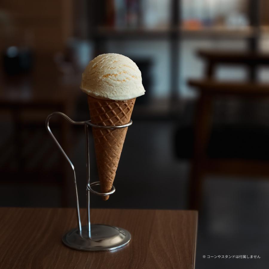 食品サンプル 食べられない アイス バニラ アイスクリーム
