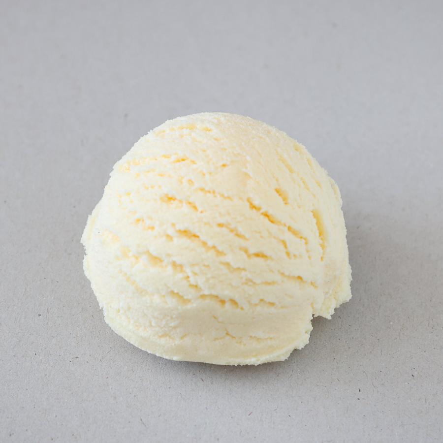 食品サンプル 食べられない アイス バニラ アイスクリーム