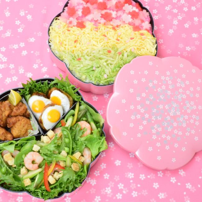 弁当箱 家族用 運動会 おせち 正月 お花見 かわいい おしゃれ 御 弁当箱 家族用 運動会 おせち 正月 お花見 かわいい おしゃれ 御