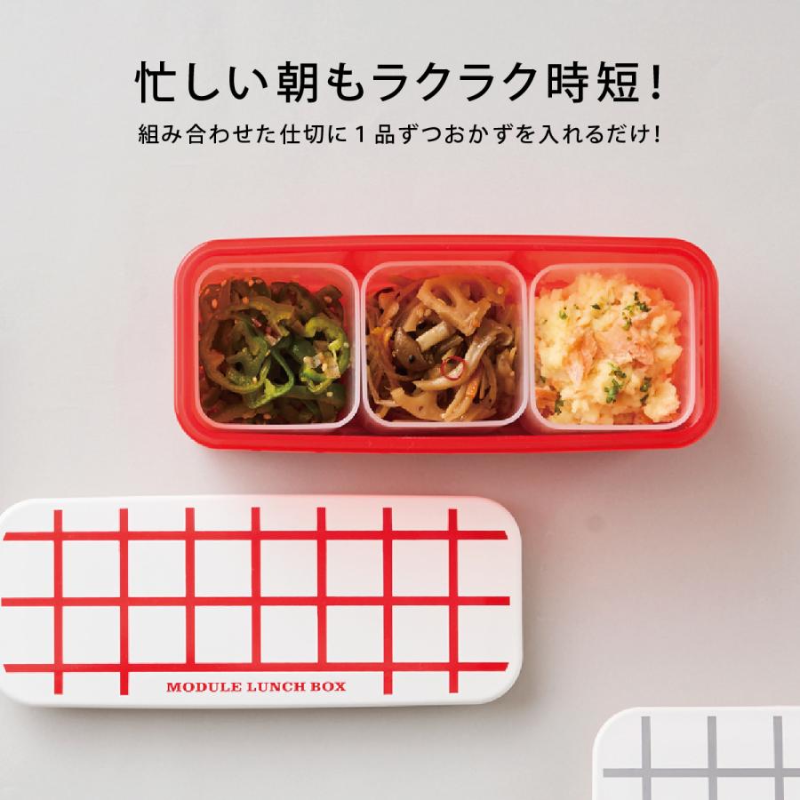 お弁当箱 女子 大人 男子 1段 300ml フードコンテナ 保存容器 おかず