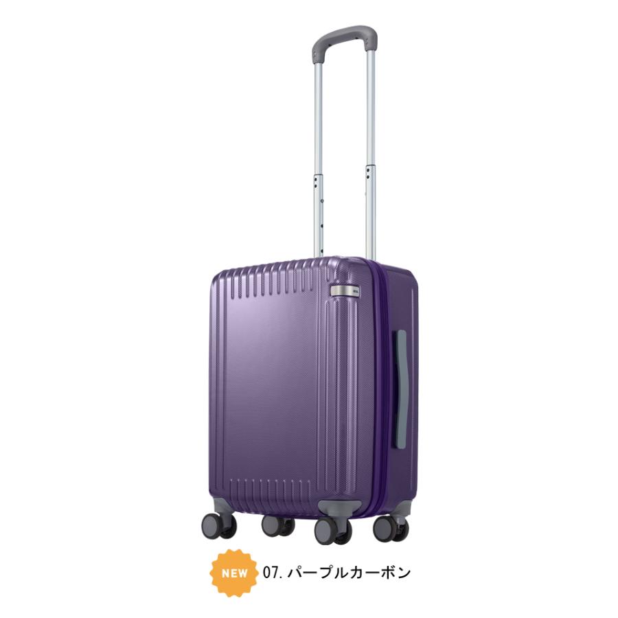 ace. 送料無料 正規品 スーツケース 機内持ち込み 新色追加 エース ACE