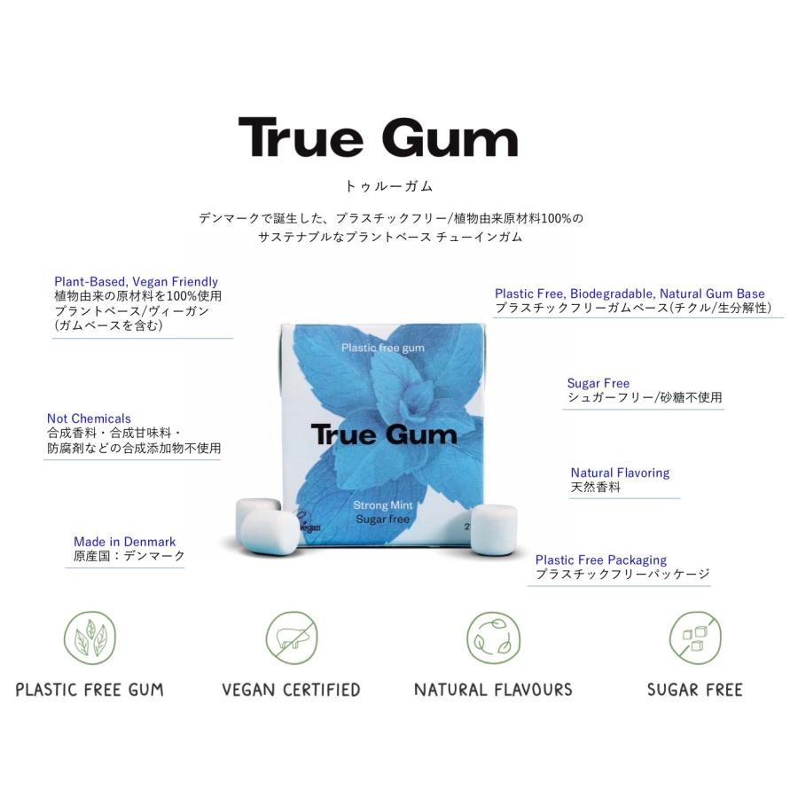 ナチュラルガム［トゥルーガム］ストロングミント 1個(21g