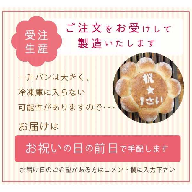 お祝い パンセット 一升餅 風フランスパンと パンダとコアラ 1歳祝い